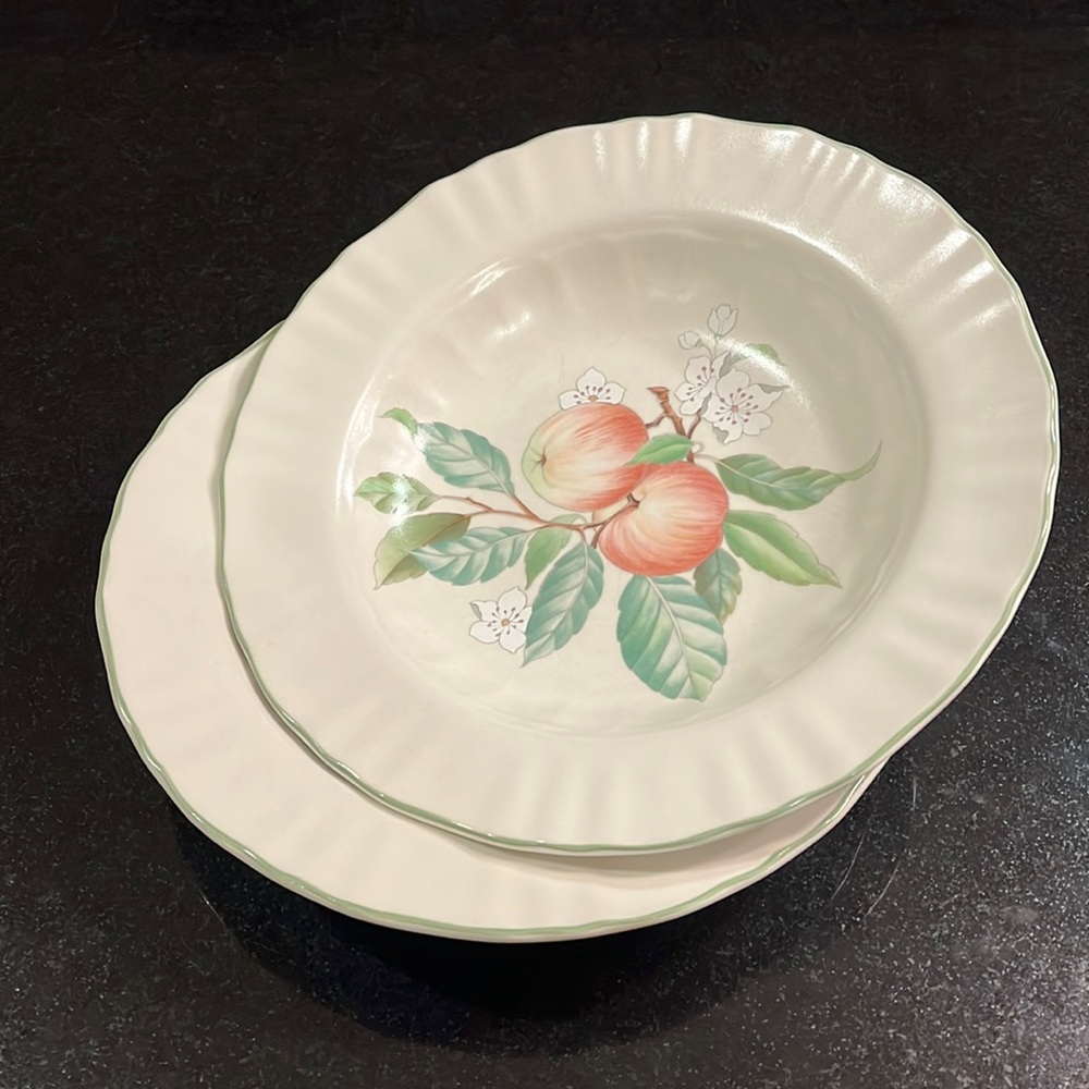 9"  Large Rim Soup Bowls - Mikasa Country Classics Norfolk (Set of 2)